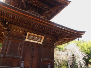 P4070308shuusei.JPG