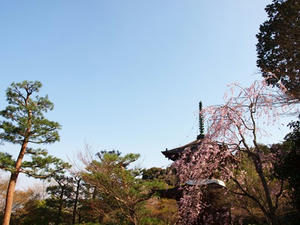 P4070319shuusei.JPG