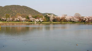 P4070357shuusei.JPG