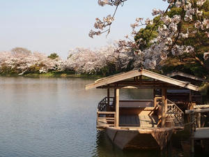 P4070375shuusei.JPG