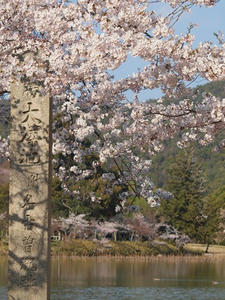 P4070410.shuuseiJPG.jpg