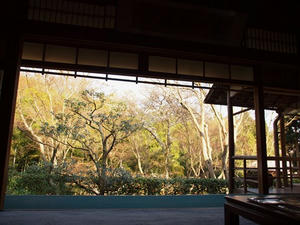 P4070424shuusei.JPG