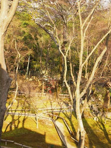 P4070432shuusei.JPG