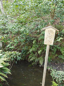 P4070443shuusei.JPG
