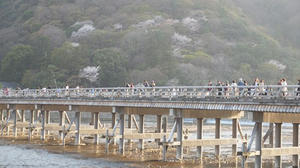 P4070490shuusei.JPG