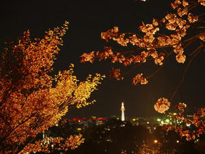 P4070575shuusei.JPG
