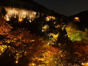 P4070578shuusei.JPG