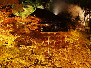 P4070600shuusei.JPG