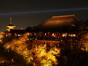 P4070622shuusei.JPG