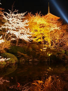 P4070640shuusei.JPG