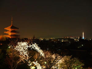 P4070646shuusei.JPG