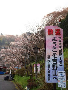 P4080655shuusei.JPG
