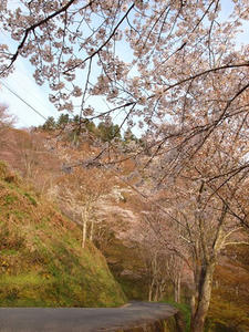 P4080679shuusei.JPG