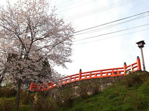 P4080706shuusei.JPG