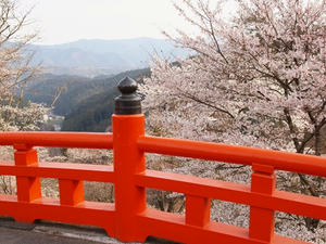 P4080714shuusei.JPG