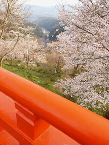 P4080716shuusei.JPG
