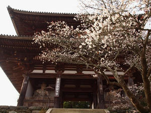 P4080741shuusei.JPG