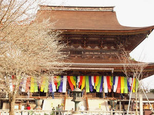 P4080764shuusei.JPG