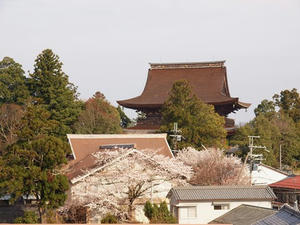 P4080769shuusei.JPG