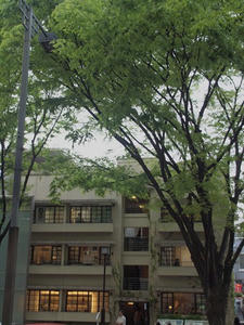 P4221800shuusei.JPG