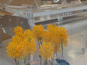 P4221802shuusei.JPG