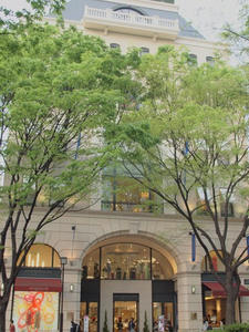 P4221803shuusei.JPG