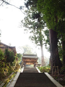 P4080910shuusei.JPG