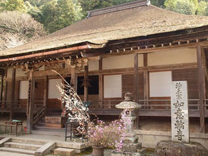 P4080917shuusei.JPG