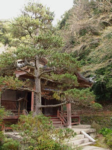 P4080924shuusei.JPG