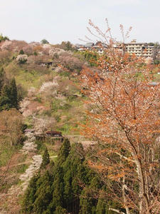 P4080949shuusei.JPG