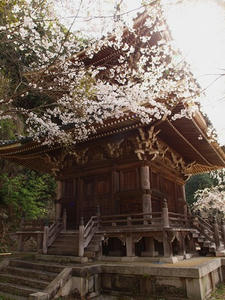 P4080951shuusei.JPG