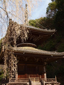 P4080961shuusei.JPG