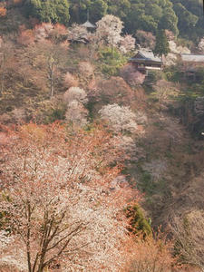 P4080878shuusei.JPG