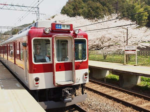 P4081006shuusei.JPG