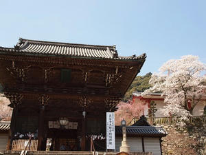 P4081030shuusei.JPG