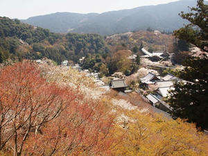 P4081073shuusei.JPG