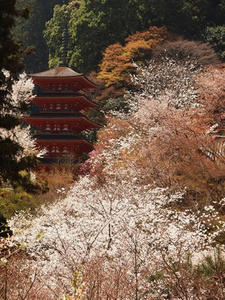 P4081079shuusei.JPG