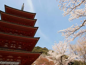 P4081105shuusei.JPG