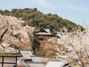 P4081119shuusei.JPG