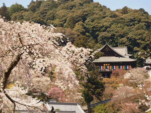 P4081124shuusei.JPG