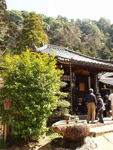 P4081144shuusei.JPG