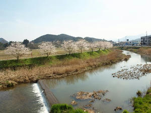 P4081161shuusei.JPG
