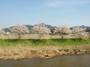 P4081166shuusei.JPG