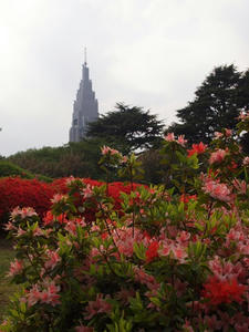 P4221674shuusei.JPG