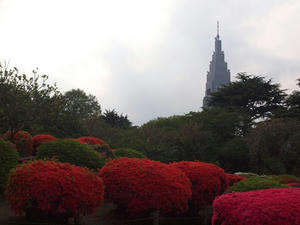P4221675shuusei.JPG