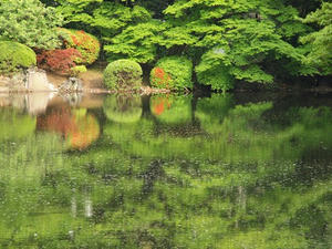 P4221686shuusei.JPG