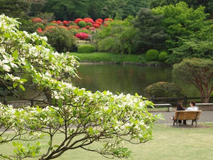 P4221725shuusei.JPG