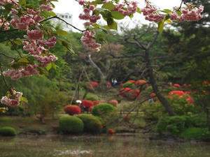 P4221697shuusei.JPG
