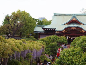 P4262452shuusei.JPG