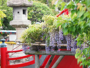 P4262420shuusei.JPG